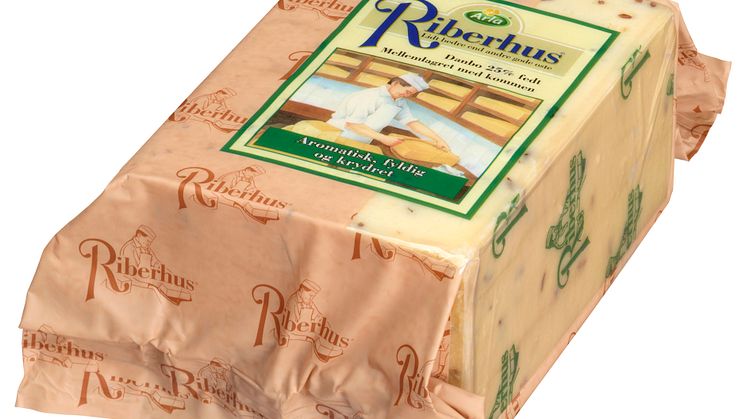 Riberhus 