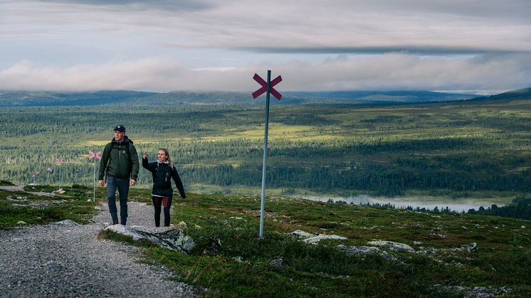 Ett nytt nationellt ramverk ska säkerställa kvaliteten på Sveriges vandringsleder.
