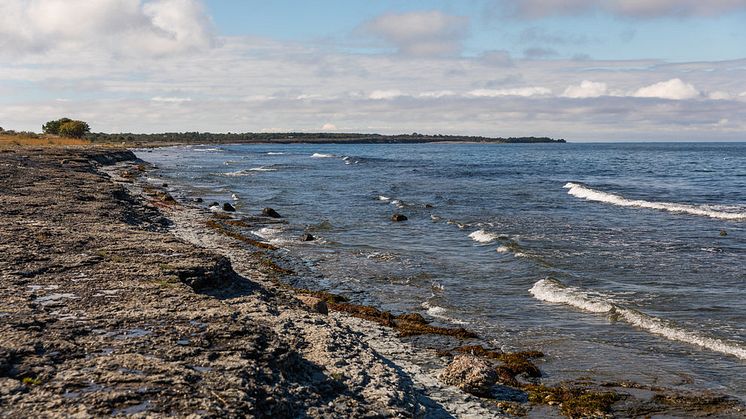 Havs- och vattenmyndigheten, HaV, föreslår nu en rad åtgärder för att få en bättre havsmiljö i Östersjön och Nordsjön.