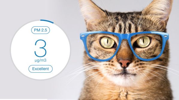 Air Purifier Brand Blueair Launches First Digital And Social Ad Campaign In U.S.