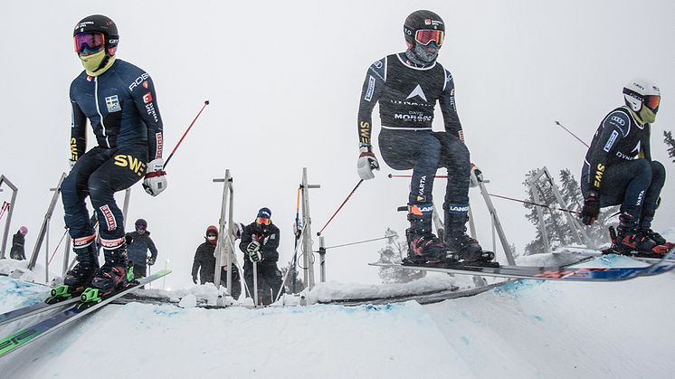 Erik och David Mobärg, Elliott Baralo och Fredrik Nilsson tävlar i Veysonnaz. Foto: Simon Broberg/Ski Team Sweden Skicross