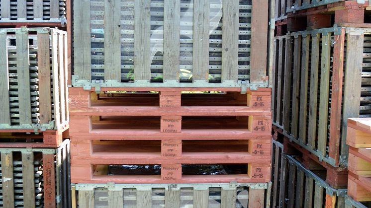 EU-RICHTLINIE ADR 2015: Pooling Partners erprobt WEEE PALLET BOX in Deutschland