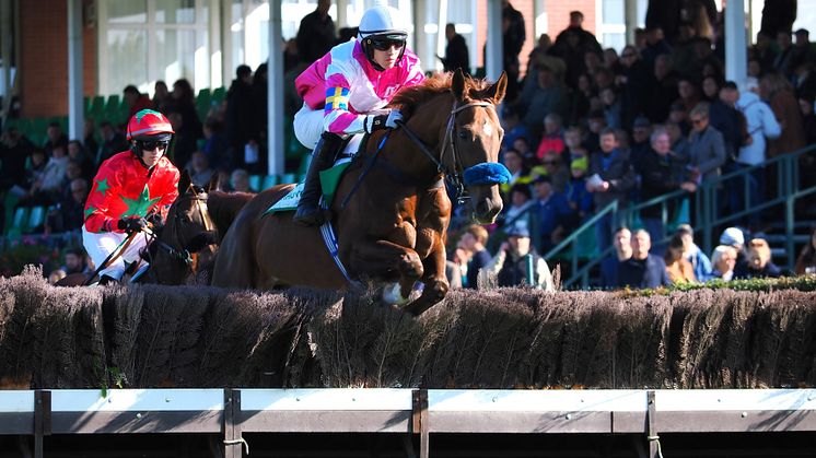 Elliot Öhgren i Pardubice credit Monika Suchánková.jpg