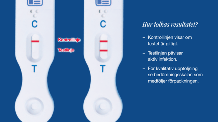Nu finns det ett diagnostiskt snabbtest- PerioPruvTM som snabbt och säkert kan påvisa om man löper risk för tandlossning. Scandinavian Biopharma kommer att presentera det nya hjälpmedlet på flera möten under hösten
