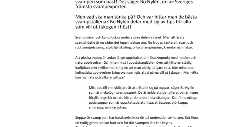 Så lyckas du med svampplockningen i höst!