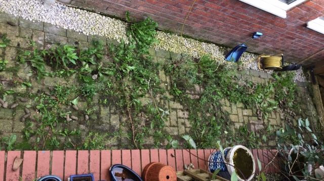 Woman fined for not clearing up her dog’s mess