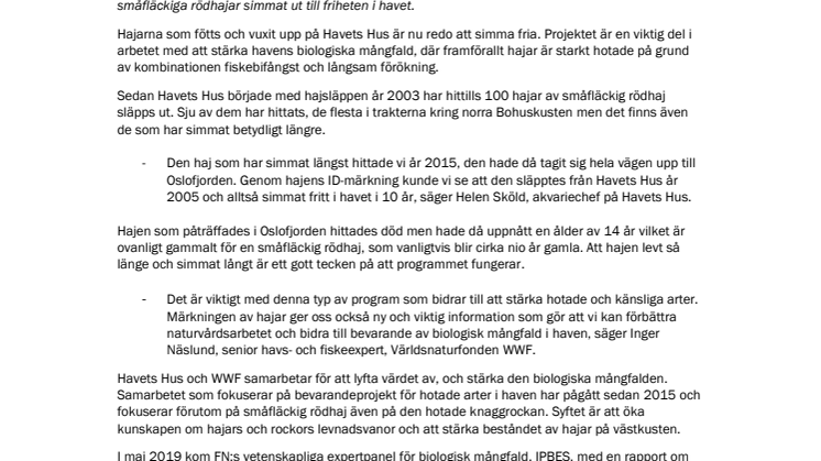 Idag släpper Havets Hus och WWF ut hajar ut i Gullmarsfjorden