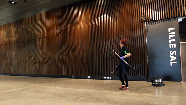 Usædvanlig arkitektur og materialer