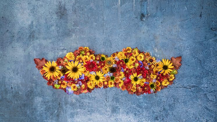 Blomsterlandet-mustaschkampen2023