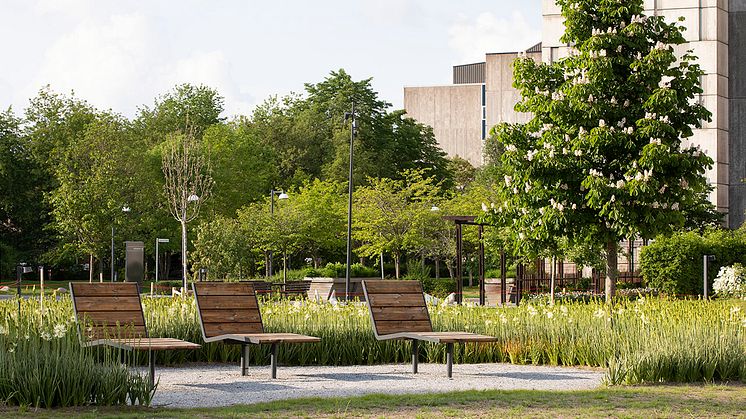 Solstolar erbjuder vila och återhämtning i parken vid Huddinge sjukhusområde.