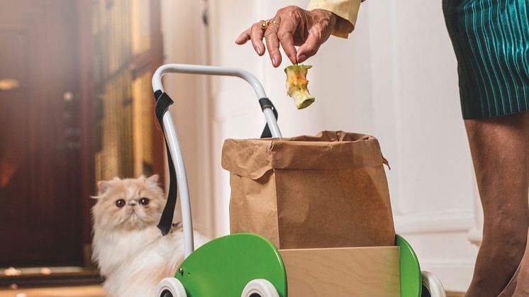 Så tränar du katten att ta ut matavfallet