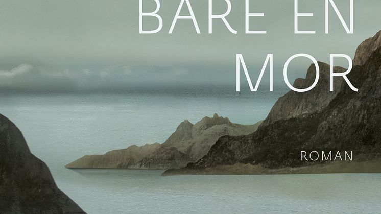 I Norge er bøkene om Ingrid fra Barrøy trykket i et opplag på over en halv million eksemplarer.