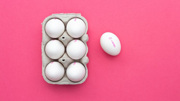 Ny attitydundersökning ger färska siffror om svenska ägg: 86 procent äter ägg flera gånger per vecka