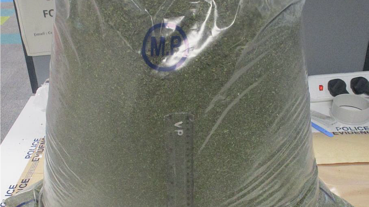 Drugs seized