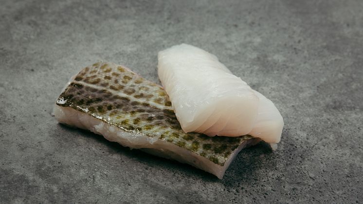 Norwegian cod. (Photo: Norwegian Seafood Council) 