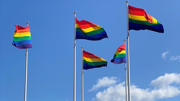En ny nordisk forskningsrapport om unga LGBTI-personers hälsa skriven av en forskare vid JU presenterades under World Pride. JU hissar Pride-flaggorna den 23-29 augusti i samband med den lokala pridefestivalen Jönköping Qom ut.