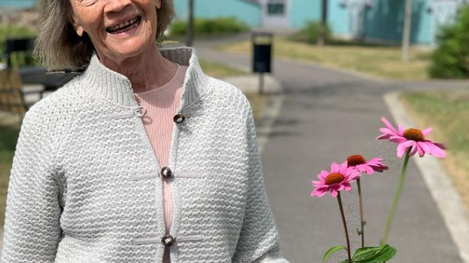 FC Månstorps Ängar_plocka blommor.png