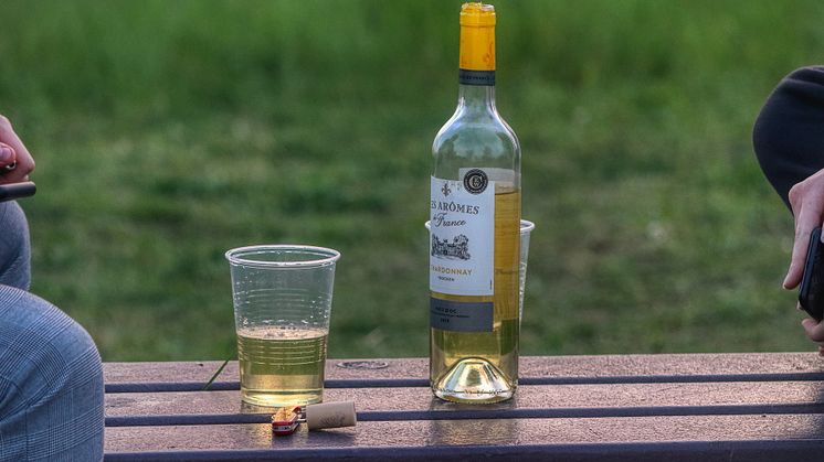 Fabriksåterställning för hjärnan kan bota både ångest och alkoholmissbruk. Foto: Pixabay. CC0