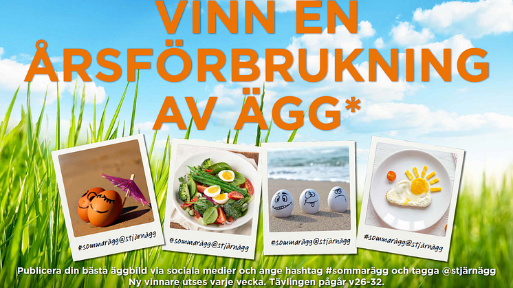 VINN EN ÅRSFÖRBRUKNING AV ÄGG