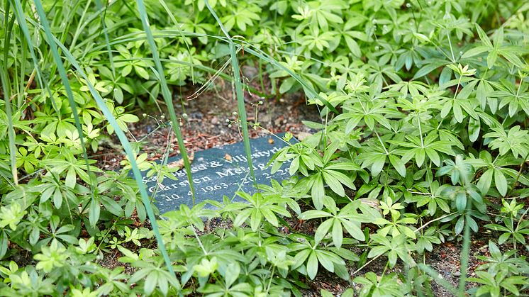SBG-2501-3-ledreborg.jpg