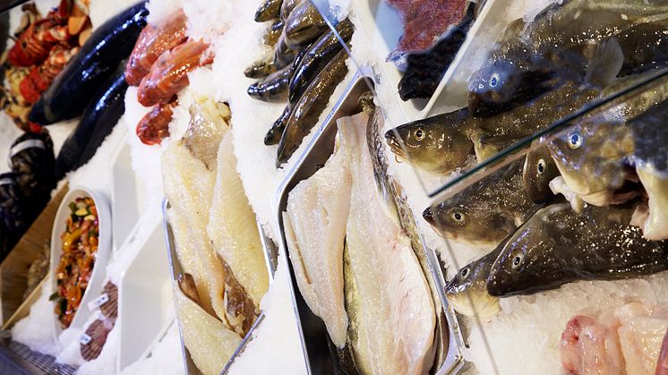 Norwegian seafood exports break new records in first half of 2017