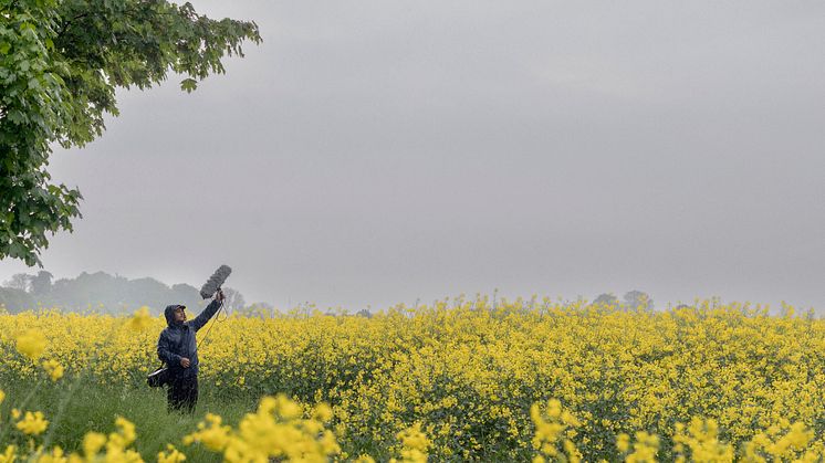 Vi mäter skånskt lugn. Sverige och Skåne har betydligt fler stillsamma platser än andra europeiska länder. Tystnad rankas som en av de främsta anledningarna till varför danska och tyska besökare väljer att semestra här. Foto: Apelöga