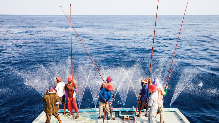 Pole and line fishing maldives group.jpg