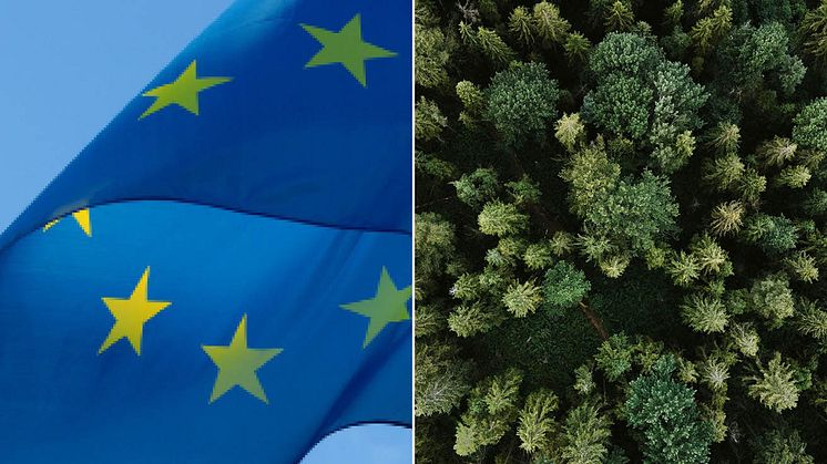 EU-kommissionen föreslår att införandet av avskogsningsförordningen EUDR skjuts upp ett år, ett  besked som välkomnas av Livsmedelsföretagen.