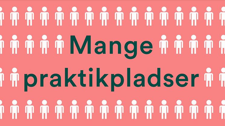 ​Lærepladsgaranti til smede og bygningsmalere