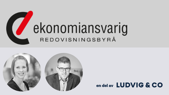 Ekonomiansvarig en del av Ludvig & Co