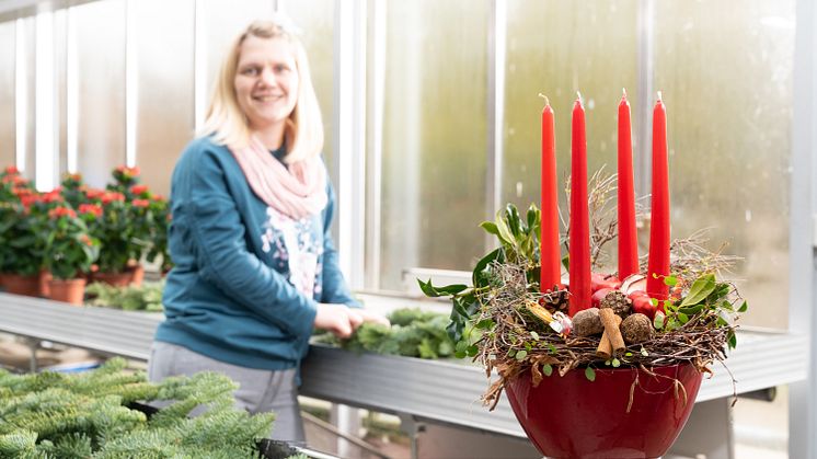 Stephanie Schrimpf bereitet Gestecke und Adventskränze für die Ausstellung in der Hephata-Gärtnerei vor.
