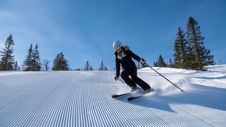 Stöten i Sälen - Action familj