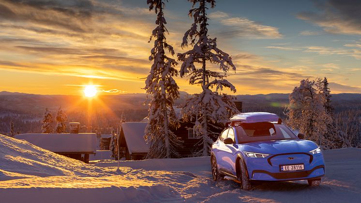 Ford Mustang Mach-E Vinter 2022