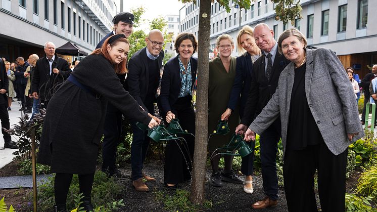Från vänster: Disa Ahlbom-Berg, Niklas Carlbaum, Stefan Sandberg, Anna Kinberg Batra, Karin Wanngård, Caroline Arehult, Anders Söderholm och Astrid Söderbergh Widding. Foto: Nils Petter Nilsson.