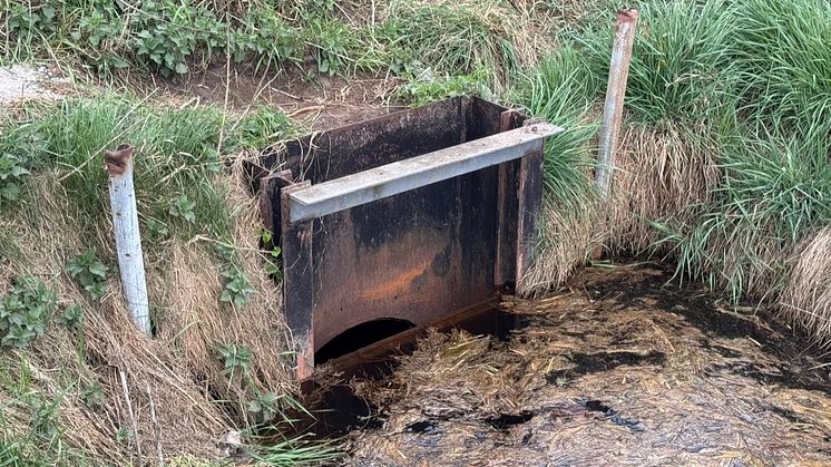 Wassermanagement auf landwirtschaftlichen Flächen | Delegation aus dem Oldenburger Münsterland besucht Vorzeigebetriebe in den Niederlanden