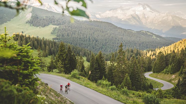 Ride the Alps, Col de la Croix © Schweiz Tourismus.