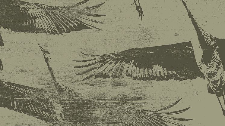 Ljus och mörker möts på Ulf Lundells nya album ”Tranorna kommer”