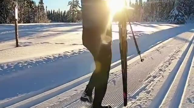Langrendsski i Kläppen, Dalarna