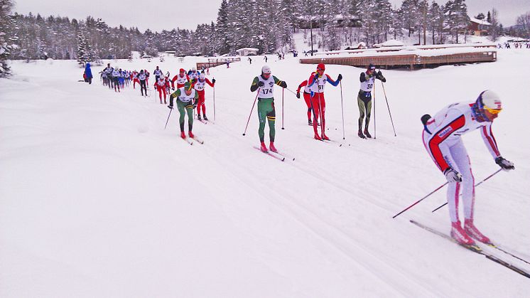 Trysil-Knut rennet