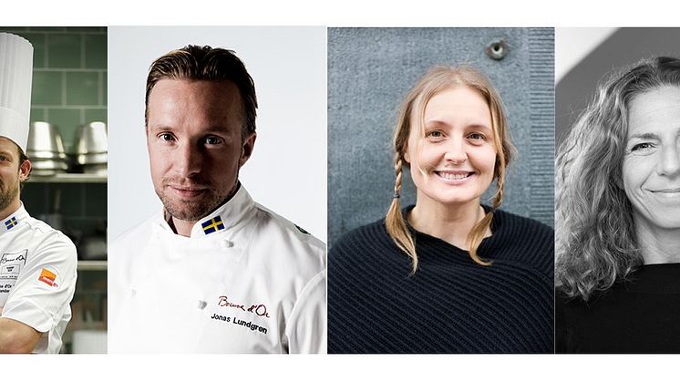 Expertjuryn Nyskaparstipendiet 2017 - Jimmi Eriksson, Alexander Sjögren, Jonas Lundgren, Susanne Liljenberg, Hanna Halpern, Thomas Palmqvist 