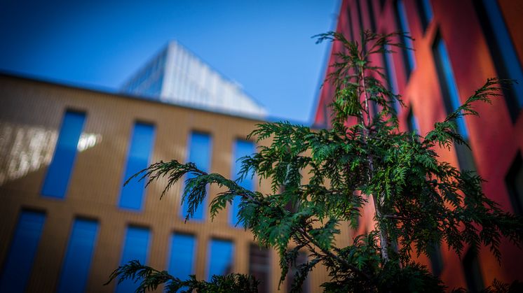 ​Dag Hammarskjöld inspirerar till meditationskonsert på Malmö Live i höst