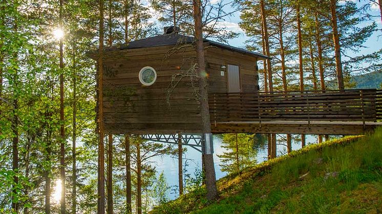 Granö_Beckasin.jpg