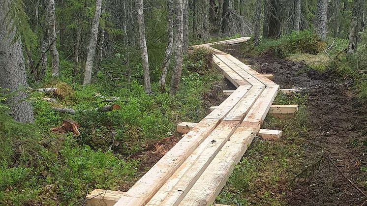 Ny sträckning för löparna i Vasaloppsarenan inför sommarveckan 2019
