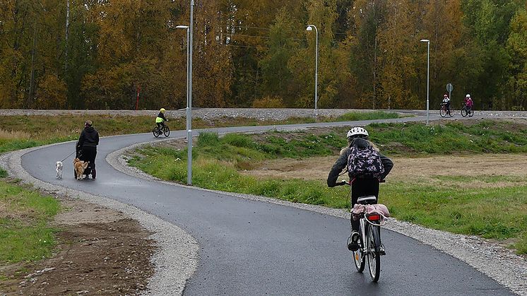 Bra jobbat till alla elever och personal som deltog i höstens utmaning.  Foto: Hanna Wimander
