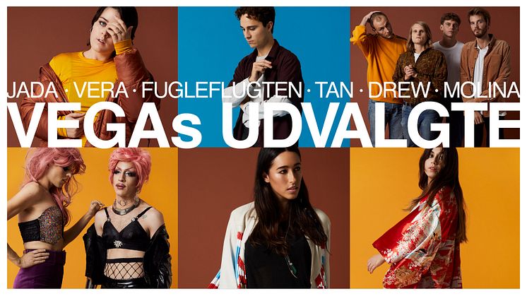 ​Det nye musikår bliver præget af disse seks navne: Mød VEGAs Udvalgte 2018
