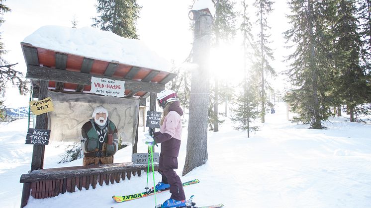 Sälen Hundfjället Trollskogen Vild Hasse.jpg