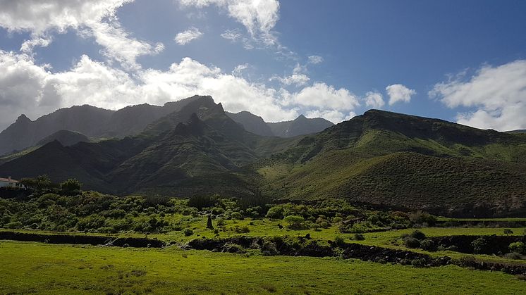 I Agaete-dalen på Gran Canaria har man odlat kaffe i drygt 200 år. Foto: The Canary Islands Tourism.