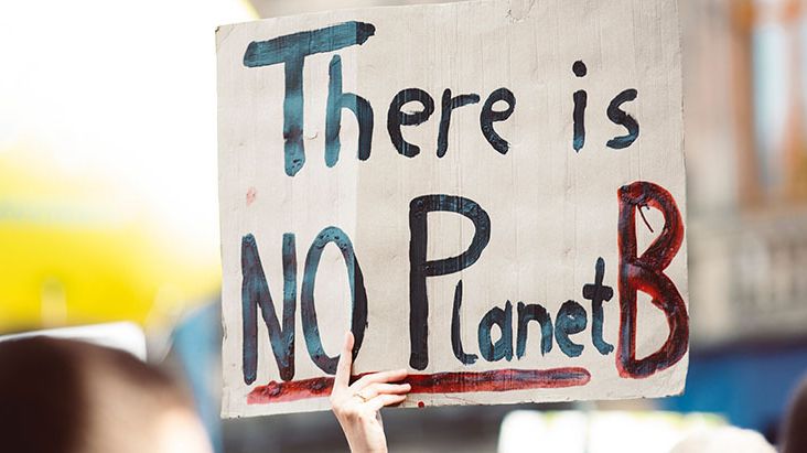 Klimataktivisten Greta Thunberg är oddsfavorit att tilldelas Nobels fredspris