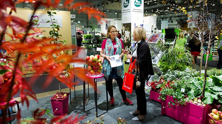 Stabiele groei in Scandinavische tuinbranche