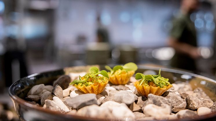 På bilden ser vi ett smakprov på elementet vatten: en tartelett med laxtartar, sjögräs, wasabi och dill.